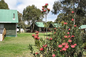 Derwent Bridge Chalets & Studios - Accommodation Whitsundays 0