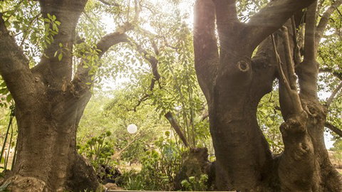 Trawool Cottages & Farmstay - Accommodation Whitsundays 5