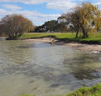 Kangaroo Lake Caravan Park - Accommodation Whitsundays