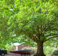 Lakes and Craters Holiday Park - Accommodation Whitsundays