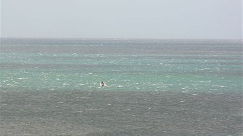 Clifftop Accommodation Portland Victoria - Accommodation Whitsundays 7