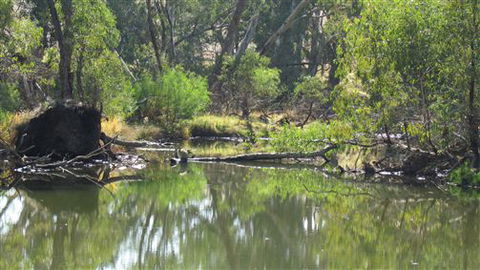 River Gardens Bed And Breakfast Farmstay - Accommodation Whitsundays 2