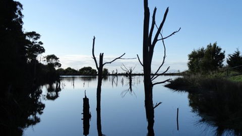 A Fare With Nature @ Prom Road Farm - Accommodation Whitsundays 6