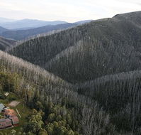 Howmans Gap Alpine Centre YMCA - Accommodation Whitsundays