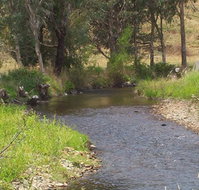 Murphy's Cabin - Accommodation Whitsundays
