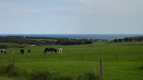 Serenity Views - Accommodation Whitsundays 4
