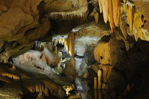 Buchan Caves Reserve - Accommodation Whitsundays 4