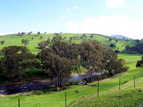 Elm Cottage - Tumut - Accommodation Whitsundays 4