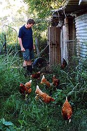 Lagoon Pocket Bed & Breakfast - Accommodation Whitsundays 1