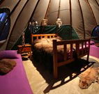 Aranyani Bison Adventure Tourist Park - Accommodation Whitsundays
