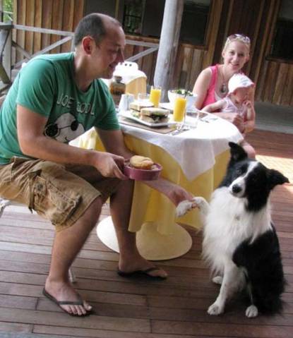 Riverwood Downs Mountain Valley Resort - Accommodation Whitsundays 2
