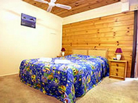 Shelly Beach Cabins - Accommodation Whitsundays 1
