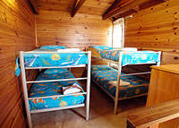 Shelly Beach Cabins - Accommodation Whitsundays 7