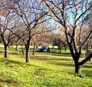 Wellington Caves Caravan Park - Accommodation Whitsundays