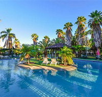 Desert Palms Alice Springs