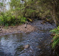 Horse Swamp campground - Accommodation Whitsundays