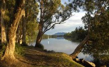 South West Rocks Tourist Park - South - Accommodation Whitsundays 0