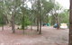 Wallingat River Campground - thumb 0