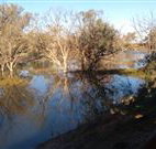 Warrawong on the Darling - Accommodation Whitsundays