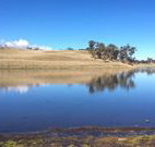 Bombala Maneroo Motel - Bombala - Accommodation Whitsundays