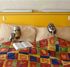 Budget Winchester Motel - Moree - Accommodation Whitsundays