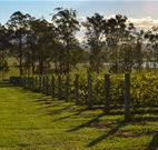 H Boutique Hotel - Pokolbin - Accommodation Whitsundays