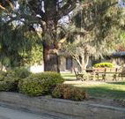 Hamilton Hume Motor Inn - Yass - Accommodation Whitsundays