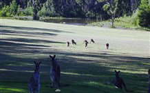 Sussex Shores RSL Units - Sussex Inlet - Accommodation Whitsundays 6
