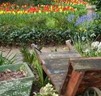 The Carrington Inn - Accommodation Whitsundays