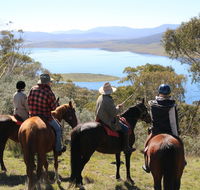 Reynella Homestead and Horseback Rides - Accommodation Whitsundays