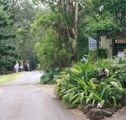 Tamborine Mountain Caravan  Camping - Accommodation Whitsundays
