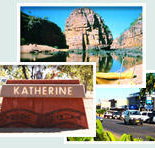 Red Gum Tourist Park - Accommodation Whitsundays