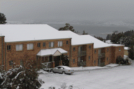 Acacia Snowy Motel - Accommodation Whitsundays 4