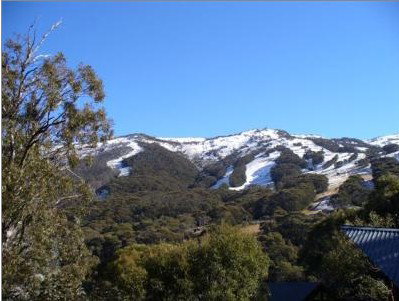 Alpenhorn Lodge - Accommodation Whitsundays 1