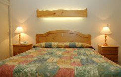 Best Western Fawkner Airport Motor Inn & Serviced Apartments - Accommodation Whitsundays 1