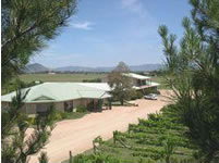 Mudgee Vineyard Motor Inn - Accommodation Whitsundays 1