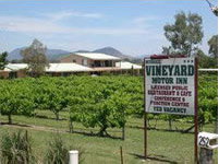 Mudgee Vineyard Motor Inn - Accommodation Whitsundays 2