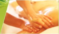 A Country Health Retreat - Accommodation Whitsundays 1