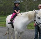 Mansfield Cottage Barrington Tops Accommodation - Accommodation Whitsundays