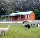 Moorallie Cottage Farm Stay - Accommodation Whitsundays