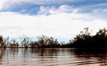 Stony Creek Farm B And B - Accommodation Whitsundays 5