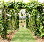 All Saints Bed and Breakfast - Accommodation Whitsundays