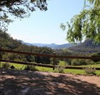 Cedar Grove - - Accommodation Whitsundays