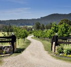 Pemberley Grange Hunter Valley Getaway - Accommodation Whitsundays