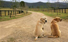 Pemberley Grange Hunter Valley Getaway - Accommodation Whitsundays 1