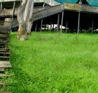 Snowy Valley Resort