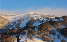 Tops Conference Centre And Accommodation - Accommodation Whitsundays 5