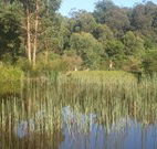 Fosterton Lodge Retreat - Accommodation Whitsundays