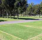 Spotted Gums on Hermitage - Accommodation Whitsundays