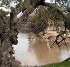Valley View Cottage Hunter Valley - Accommodation Whitsundays